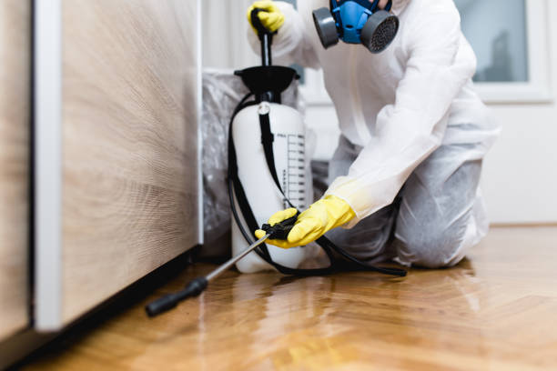 Best Residential Pest Control  in Norwalk, CA