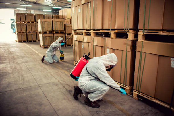  Norwalk, CA Pest Control Pros