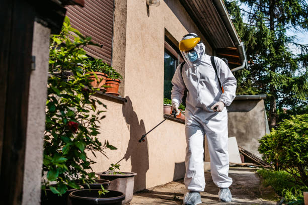Wildlife Control Services in Norwalk, CA