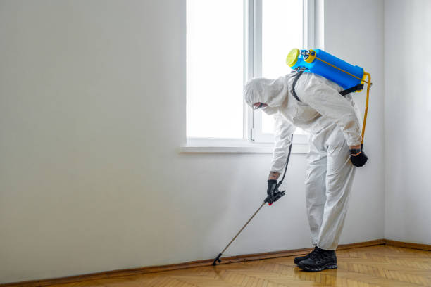 Best Local Pest Control Services  in Norwalk, CA