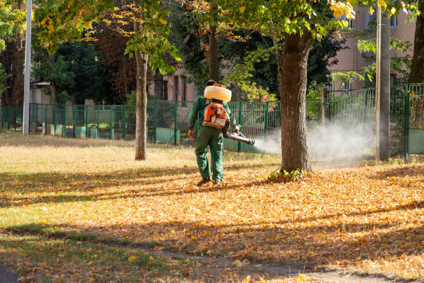 Best Affordable Pest Control Services  in Norwalk, CA