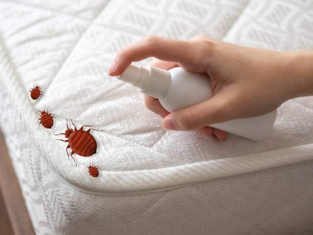 Best Commercial Pest Control Services  in Norwalk, CA